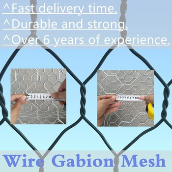 100mm X 120mm Wire Mesh Gabion Box Conveniently Sized 2m X 1m X 1m For Soil