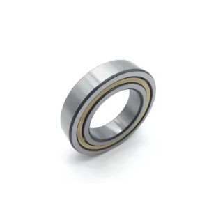 NJ208ECM Cylindrical Roller Bearings (NJ208E.M1 NJ208EM NJ208M Available)