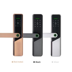Wifi Remote Tuya Smart Door Lock