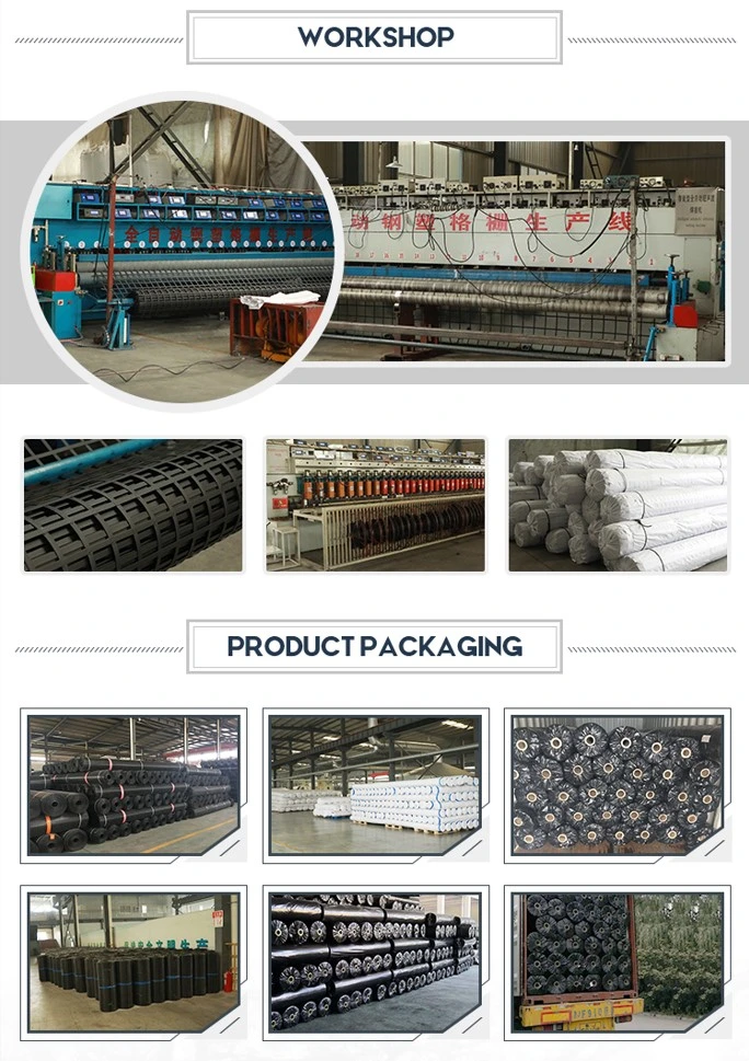 Steel Plastic Geogrid For Stabilized Gravel Surface Subgrade And Reinforcement Net