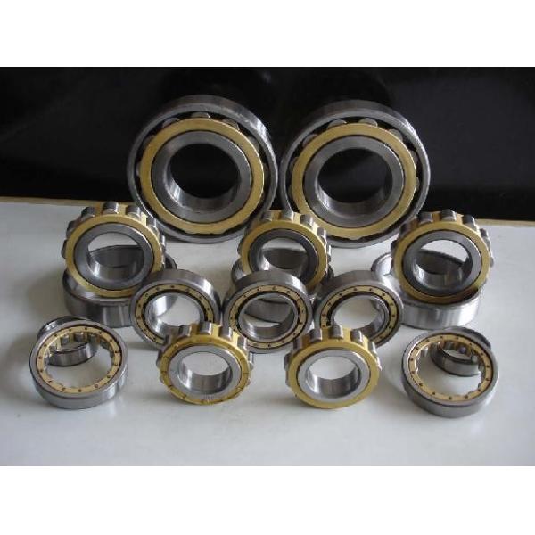 Buy Steel Gcr15 Skf Cylindrical Roller Bearing With Hot Pressed Customized at wholesale prices