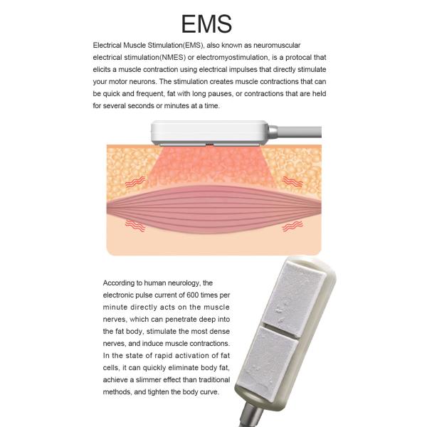 EMS Cooling Beauty Therapy Machine Fat And Cellulite Reduction Machine
