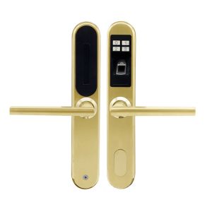 Fingerprint Smart Apartment Door Locks C Class Lock Core Big Data Capacity