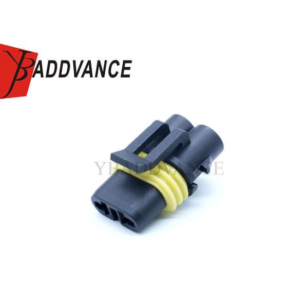 Hot Sales 2 Pin Electrical Black Waterproof Female Cable Wire To Wire Connector For Fog Lights