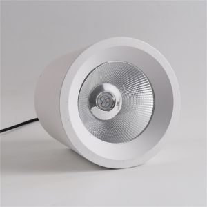 20w High Light Efficiency RGBW Remote Control Indoor Wall-Mounted Downlight for