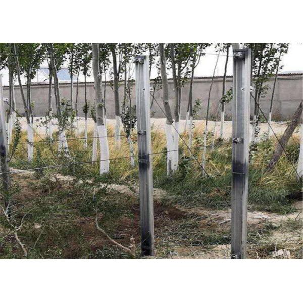 Master Barb Wire Ratchet Strainers Wire Tensioners For Fence