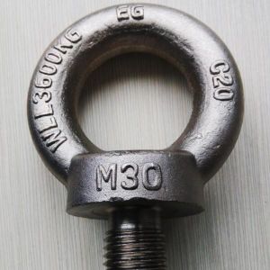 DIN580 Stainless Steel Metal Screws BSW Stainless Steel Eye Screws