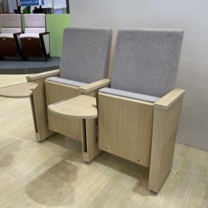 Portable Molded Foam Auditorium Theater Seating Planetarium Chair