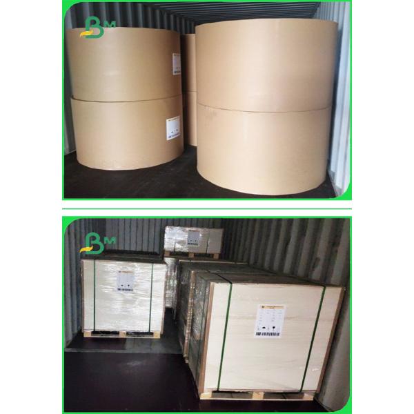 250gsm to 400gsm Duplex Board One Side Grey Good Stiffiness In Jumbo Reels