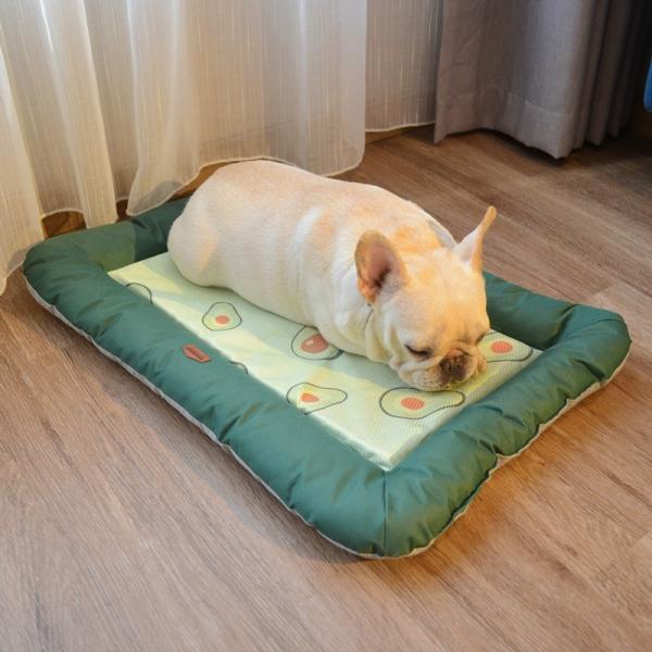 fancy dog beds for small dogs