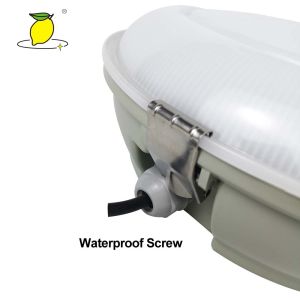 Waterproof LED IP65 Ceiling Mounted Emergency Lights