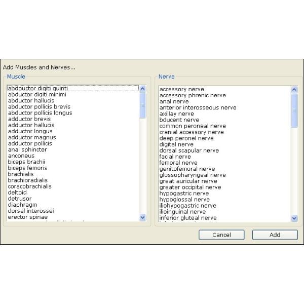 CONTEC CMS6600B Mobile Ultrasound Machine PC Based 4 Channel EMG / EP System