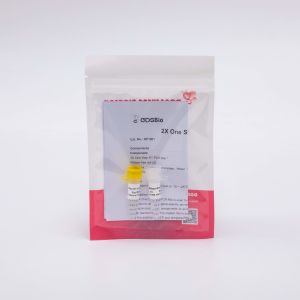 2X One Step RT PCR Mix For RNA Reverse Transcription RP1001