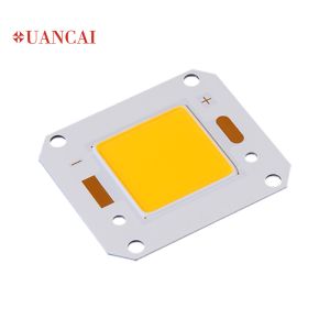 150LM 50W Floodlight Led Cob Chip