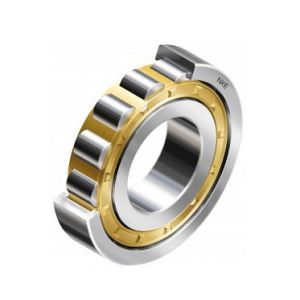 ECM NU 313 Single Row Cylindrical Roller Bearing