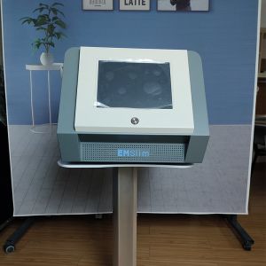 Powerful advanced 3000W Emslim Muscle Stimulation Machine With Pelvic Handles