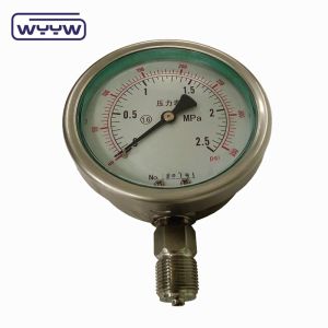 Vertical Connection Silicone Stainless Steel Glycerin Filled Pressure Gauge
