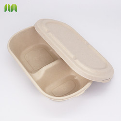 Biodegradable Food Container eco-friendly box with bagass lid