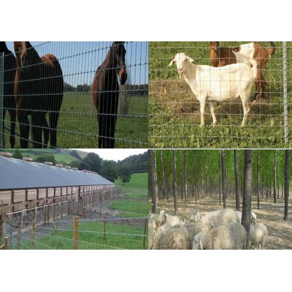 Knot Field Sheep / Cattle Wire Fence High Securety For Farm Easy Install