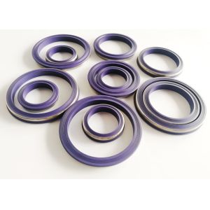 ISO9001 Approved Professional Hydraulic Lip Seal 1-150000 Psi Pressure