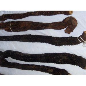 Desertliving Cistanche Extract,Cistanche Tubulosa Extract,Herba Cynomorii