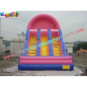 Popular Commercial Inflatable Slide Double Line , Giant Slide Toys