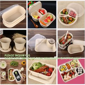 5 Compartment Snack Food Tray Sugarcane Bagasse Plate Disposable Plates Eco