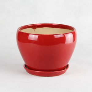 Modern And Sleek Ceramic Pots For Plants And Flowers Fast Shipping And Delivery