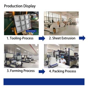 hengmaster food grage disposable Plastic biscuit disposable snack donut