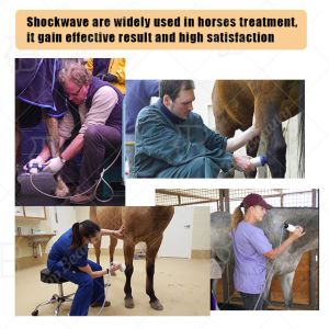 Mobile Shockwave Therapy Machine 80mj Vet Physical Therapy Equipments