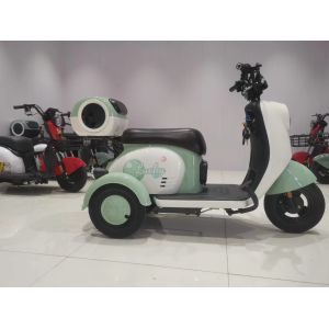 Flexible Leisure Electric Tricycle For Adults Motorized 500w