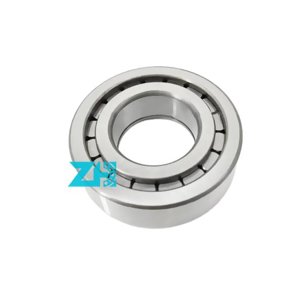 Hydraulic pump bearing F-203740.nup 25x54x21mm single row cylindrical roller bearing F-203740