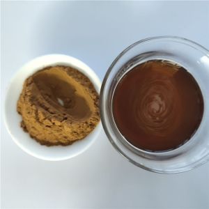 Hot Sale energy supplement clove extract with best price