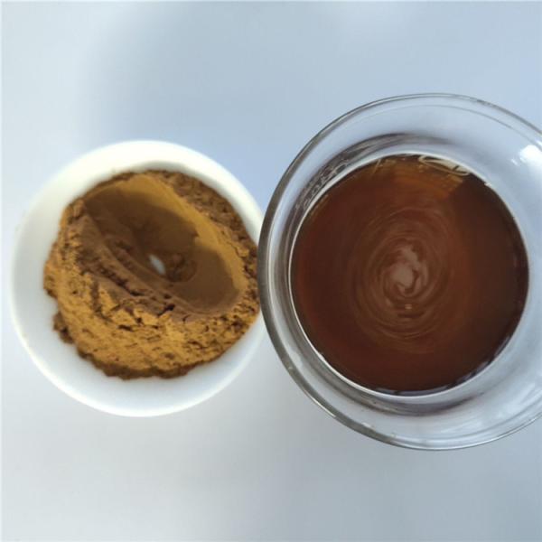 Buy Hot Sale energy supplement clove extract with best price at wholesale prices