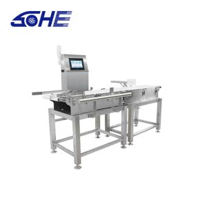 110V-220V Power Automatic Inspection Checkweighing Conveyor