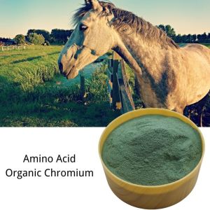 Amino Acid Trace Elements Protein Chromium 8% Animal Feed Additive