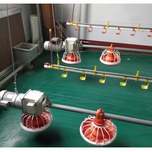 China Breeder / Broiler Poultry Farming Machine 14 16 Compartments on sale