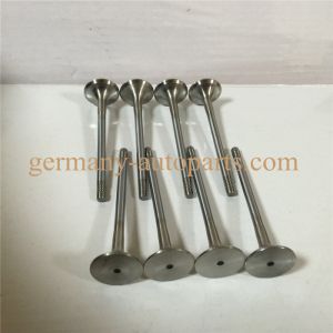 Chrome Silicon Steel Engine Timing Control Intake Exhaust Valve Set For VW Audi