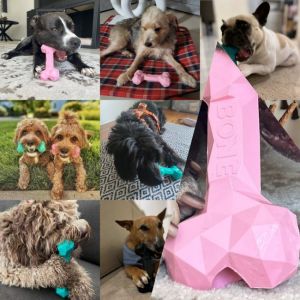 Pet Tooth Cleaning Interactive Bone Toys Aggressive Chewers Chewing Satisfaction