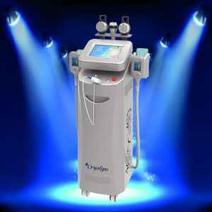 Best cryolipolysis for beauty salon use / cryolipolysis radio frequency