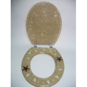 sea star shell toilet seat