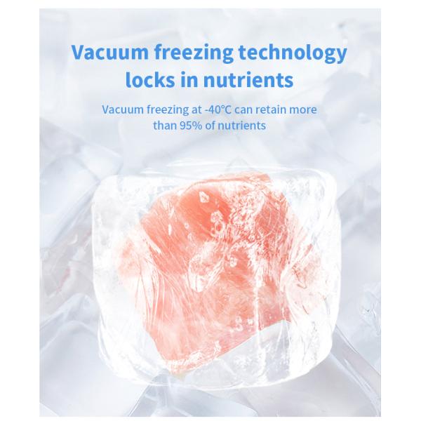 15Pa Home Vacuum Freeze Dryer Machine Lyophilizer 50hz For Meat Pet Food