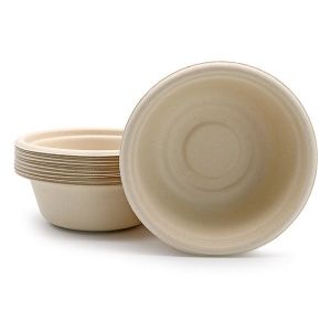 Disposable Biodegradable Sugarcane Eco Friendly Take Away Food Container Bagasse
