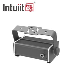 13W Laser Firefly Effect Lights For Outdoor Project