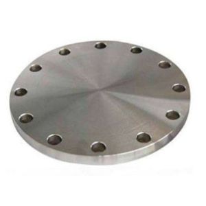 Ansi Stainless Blind DN15-2500 Forged Steel Flanges