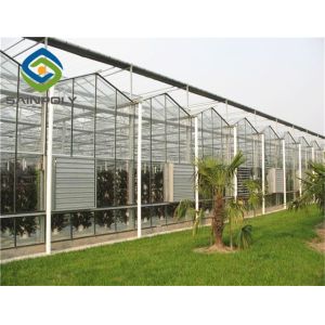 5mm Tempered Glass Hydroponic Grow Systems Greenhouse