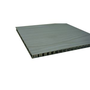 FS-5890 Antibacterial Board Weather Resistant Antibacterial Wall Paneling