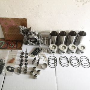 Cylinder Kit Piston Set for deutz BF4M2012 Engine