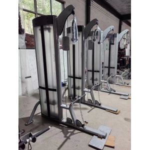 Gym Clubs Steel Bicep Curl Machine Pin Load For Biceps Triceps Training