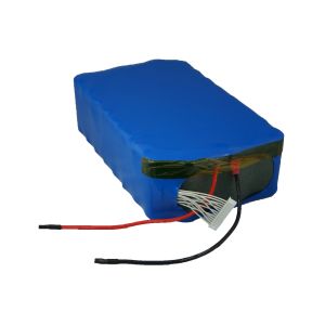 36V LiFePO4 12AH Electric Bike Battery Pack for E-Scooter Deep Circle